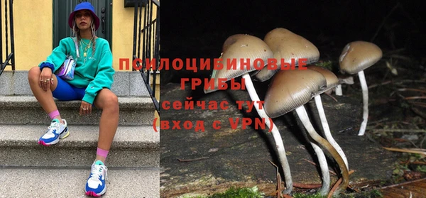 mdpv Каменск-Шахтинский