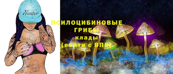 стафф Касимов