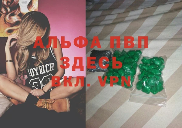a pvp Каменногорск