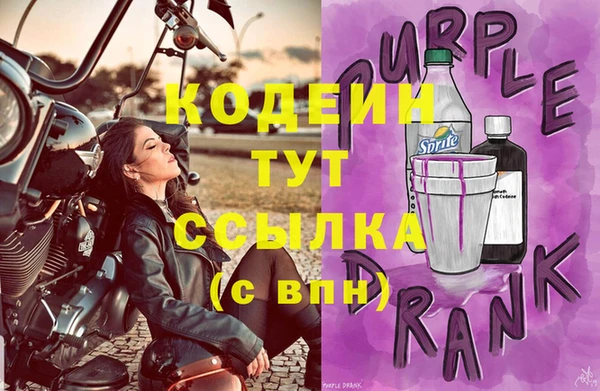 стафф Касимов