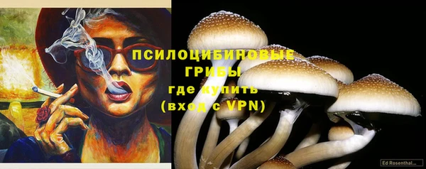мескалин Каменка