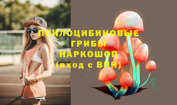 mdpv Каменск-Шахтинский