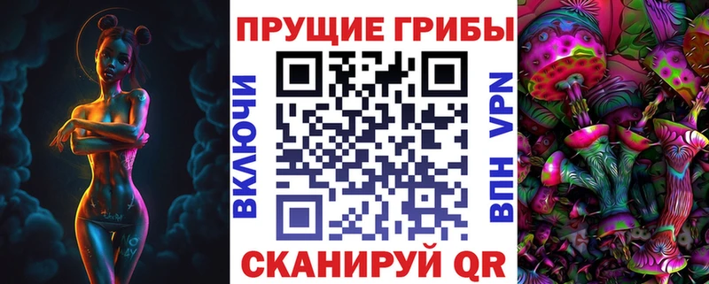 Купить  Заринск  Псилоцибиновые грибы GOLDEN TEACHER 